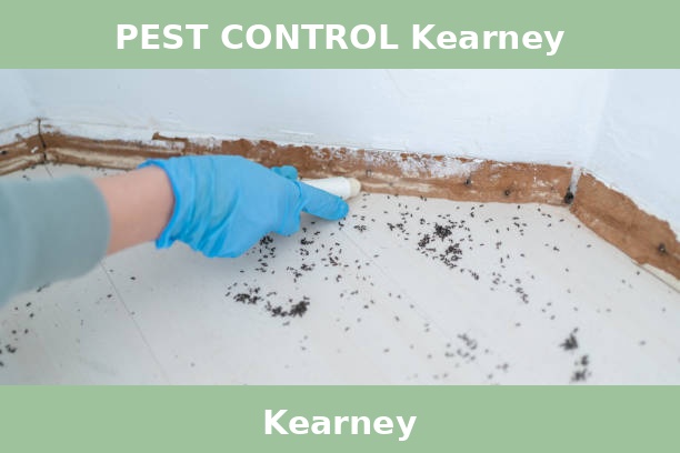 PEST CONTROL Kearney
